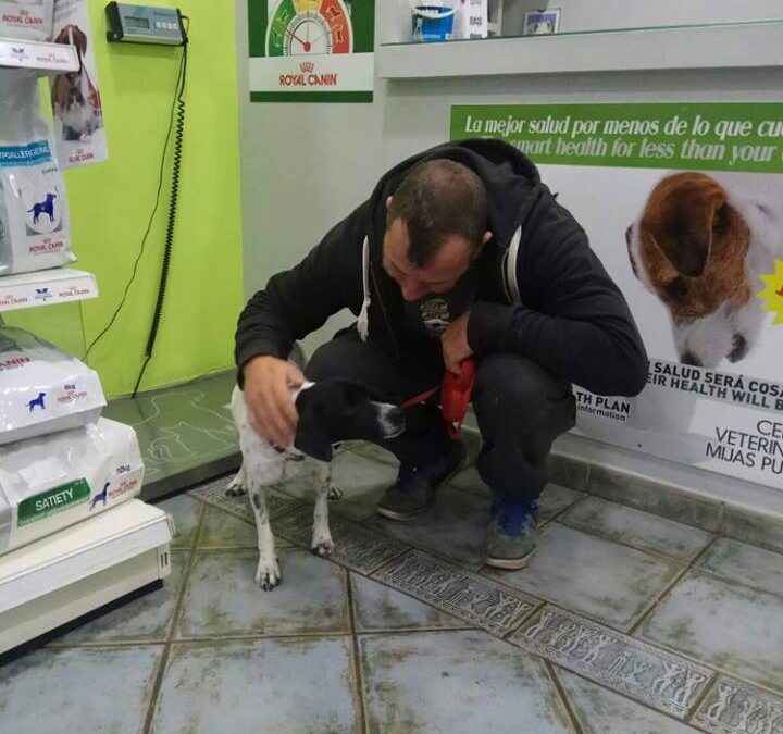El nuevo hogar de Lumi