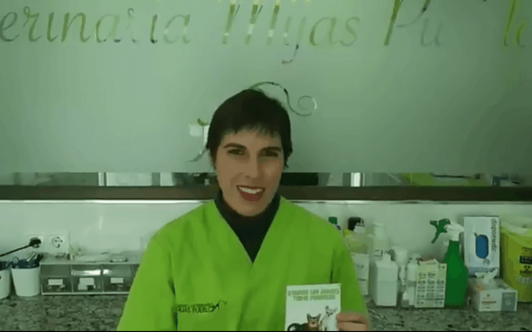 Promoción traer a un amigo