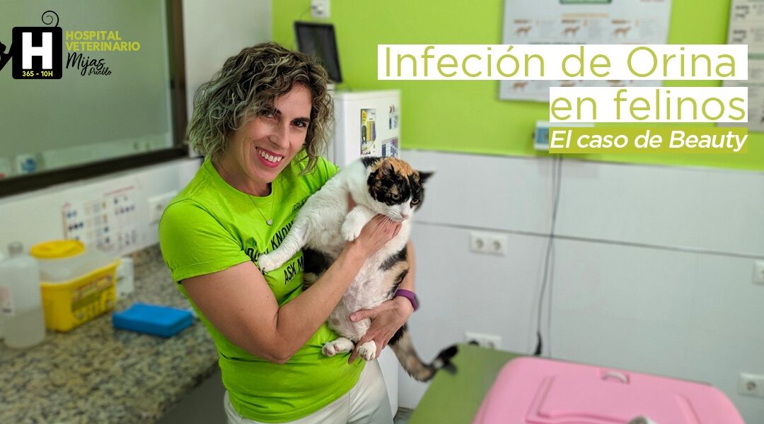 Nuestra veterinaria, Natalia, con Beauty