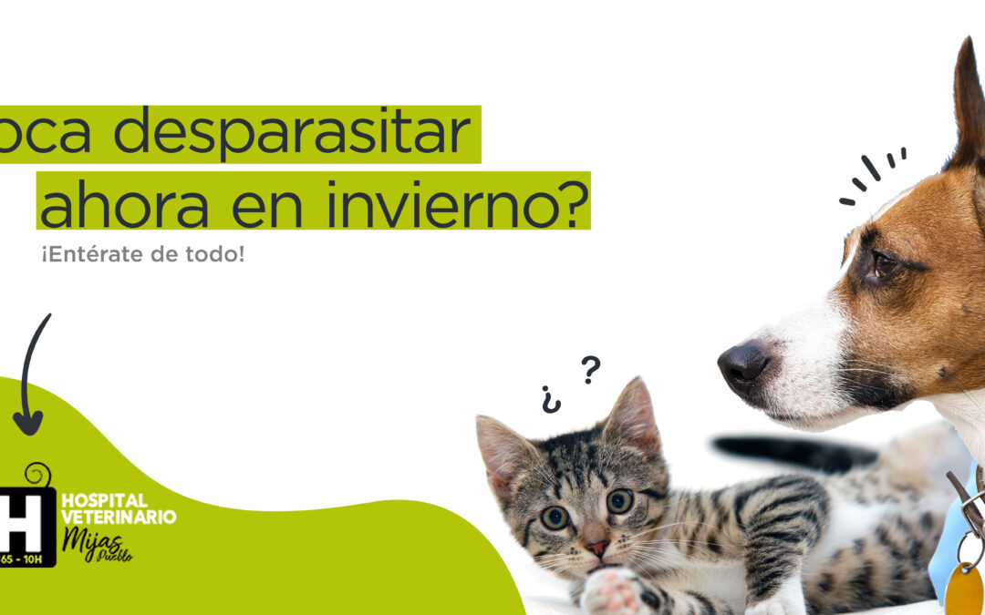 ¡Los parásitos no descansan en invierno!