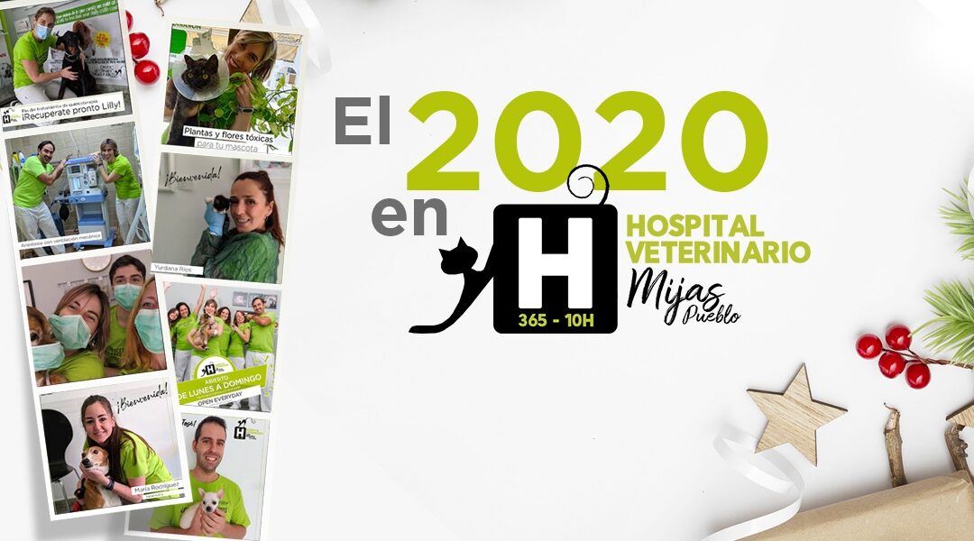 2020, un año para recordar