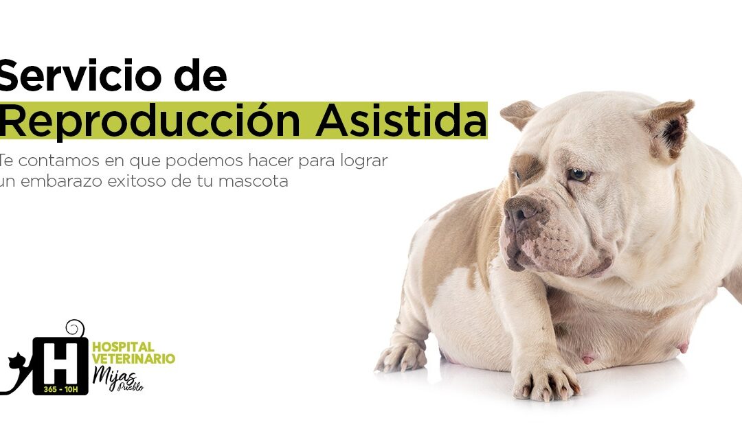Servicio de Reproducción Asistida