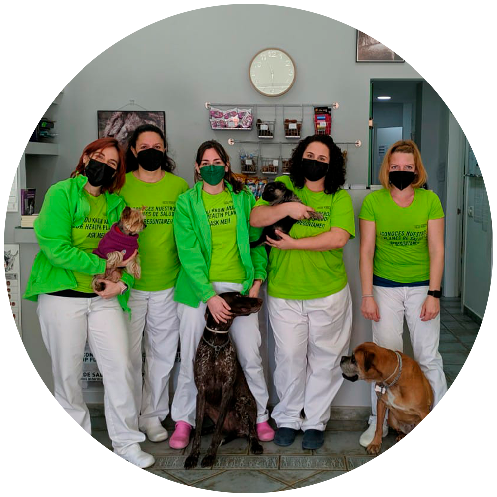 Enlace a Sección "Nuestro Equipo"