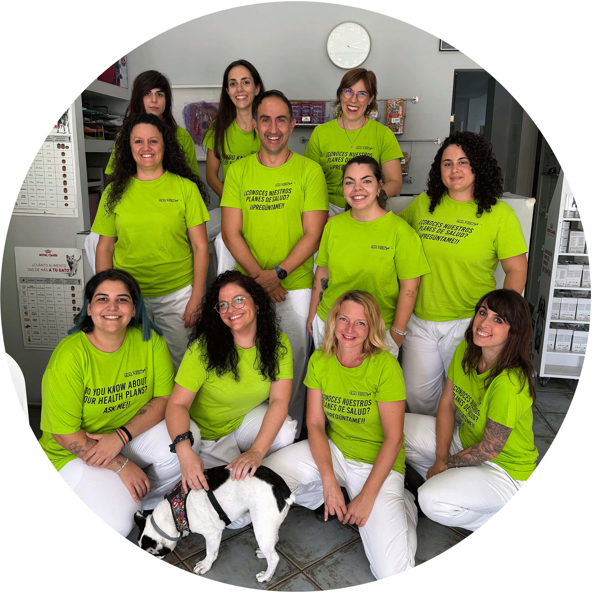 Enlace a Sección "Nuestro Equipo"